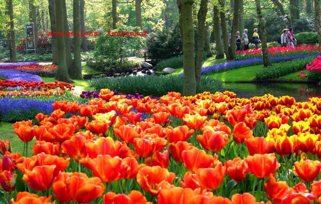 Teska Bed & Breakfast Veenendaal Dış mekan fotoğraf